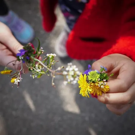 بيت ضيافة Kalpic & لازوفاك