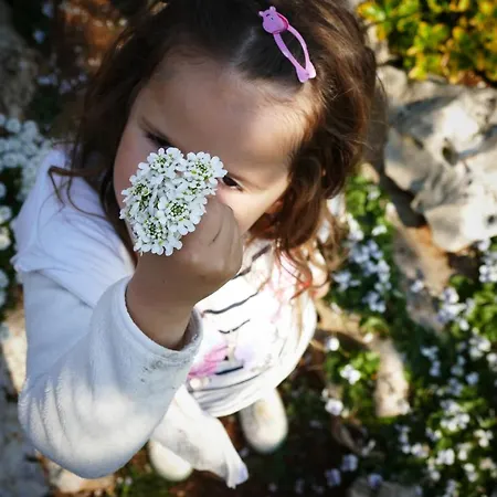 Kalpic & Gasthuis Lozovac