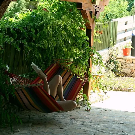 Kalpic & Guest house