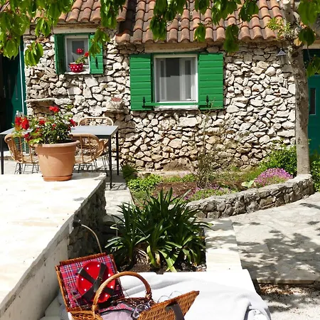Kalpic & Guest house