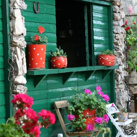 Kalpic & Guest house