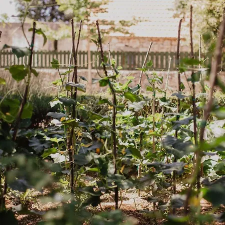 Kalpic & Gasthuis Lozovac