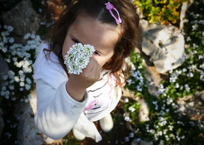 Kalpic & Pensjonat Lozovac