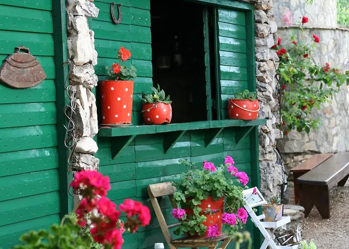 Kalpic & Guest house