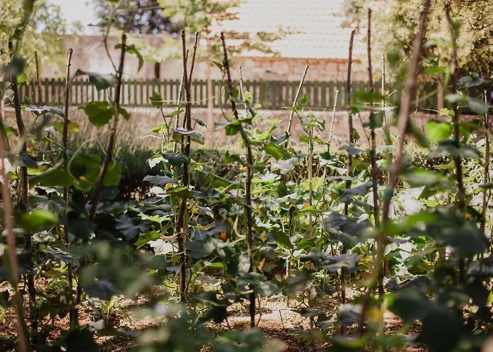 Kalpic & Guest house Lozovac